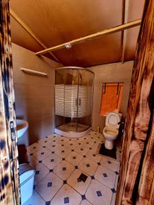 a bathroom with a toilet and a glass shower at Mzinga Retreat in Gitesi