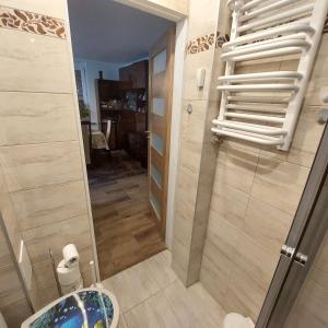 a bathroom with a shower with a toilet and a sink at Sunstreet in Lubin