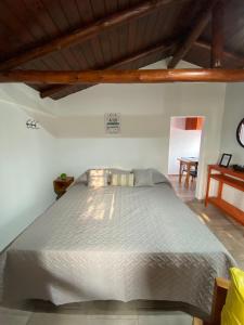 1 dormitorio con 1 cama grande en una habitación en Lo de Lili en Colón