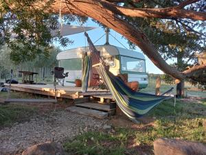 a hammock in front of an rv under a tree at Down to earth NZ in Kerikeri