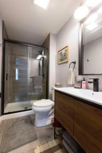 La salle de bains est pourvue de toilettes, d'une douche et d'un lavabo. dans l'établissement Cozy Modern Farmhouse 2 Bedroom Apartment, à Torrington