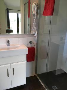 a bathroom with a shower and a sink and a mirror at Harmony Bed & Breakfast in Fingal