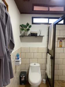 a bathroom with a toilet and a plant on a shelf at Conectar con la naturaleza in Esparza