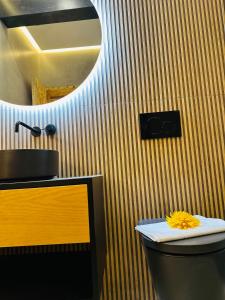La salle de bains est pourvue d'un lavabo, de toilettes et d'un miroir. dans l'établissement A casa na Estrela, à Lisbonne