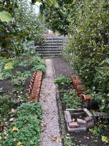 un jardín con ladrillos y plantas junto a una valla en Tuinkamer Oudeschoot, en Oudeschoot