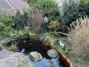 OudeschootにあるTuinkamer Oudeschootの池のある庭園
