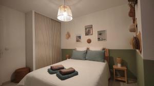ein Schlafzimmer mit einem Bett mit zwei Kissen darauf in der Unterkunft Appartement centre-ville proche lac, océan, vignes in Lesparre-Médoc