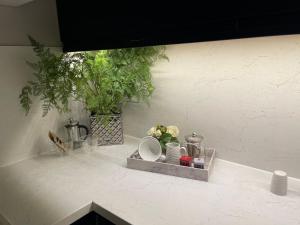 a counter top with a shelf with plants on it at Cosy Cottage - Church St, Bawtry - Entire Cottage in Bawtry
