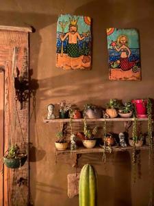 una pared con estanterías con macetas y pinturas en Hogar mágico en Punta de Choros, en Choros