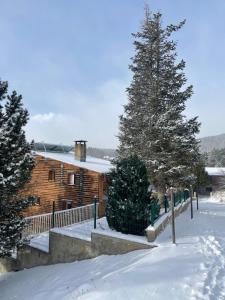 ein Haus mit einem Baum im Schnee in der Unterkunft Chalet Isard Pyrénées 2000 - 300m des pistes in Bolquere