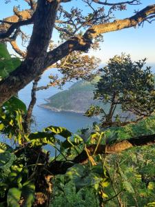 une vue sur une étendue d'eau depuis un arbre dans l'établissement Rio National Park H&C, à Rio de Janeiro