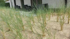 Fotografie z fotogalerie ubytování Villa Vindina v destinaci De Panne