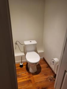a white toilet in a bathroom with a wooden floor at Viktoria HOSTEL in Antwerp