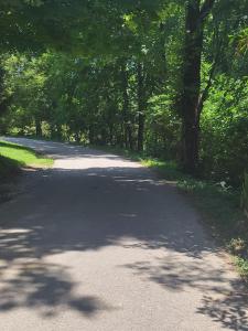 a winding road with trees on either side at The Little House at EVOO in Cookeville