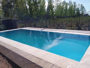 una piscina con agua azul en un patio trasero en Alquiler temporario Marcos en San Rafael