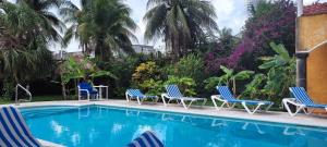 una piscina con sillas azules y una mesa en Casa Colonial, Cozumel en Cozumel