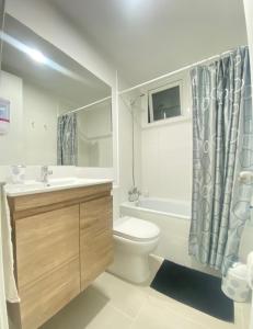 a bathroom with a toilet and a sink and a shower at Lagunamar las cruces in El Tabo