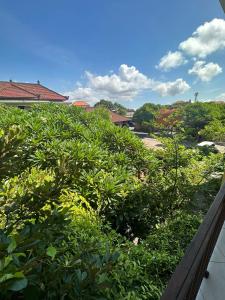 a row of bushes on a balcony at Sari Buana Bed & Breakfast in Kuta