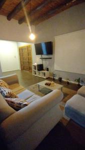 sala de estar con sofá y TV de pantalla plana en El Coiron en Colonia Las Rosas