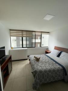 a bedroom with a bed with a cat sitting on it at Depa en piso alto! Vista al rio y parqueo in Guayaquil