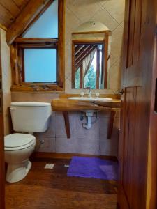 a bathroom with a toilet and a sink and a window at Cabaña El Viaje in San Carlos de Bariloche