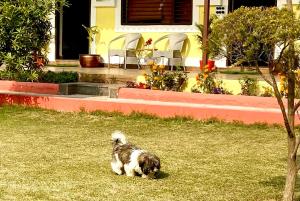 Gallery image of Vanzara Retreat in Gurgaon