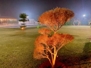Gallery image of Vanzara Retreat in Gurgaon