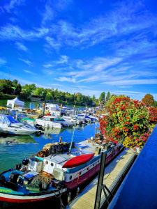 a group of boats docked at a dock with flowers at Charming home near Paris in Le Perreux-Sur-Marne