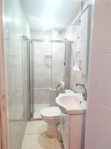 a bathroom with a shower and a toilet and a sink at Family Hotel Taksim in Istanbul