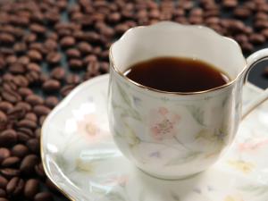 Gallery image of Business Ryokan Iroha in Minokamo