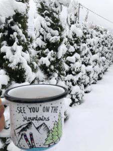 une tasse avec les mots vous voir sur les montagnes dans la neige dans l'établissement Petar Apartment, à Mavrovo