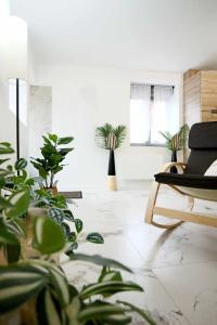 una sala de estar con macetas y una silla en Appartement Le Moderne Idéal pour Couples et Professionnels, en Ornans