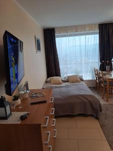 a bedroom with a bed and a desk with a television at Apartament Wisła Bukowa in Wisła