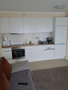 Кухня или кухненски бокс в Apartament Wisła Bukowa