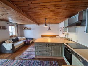 cocina y sala de estar con sofá en Neuhaus-Hof by FeWo-PLAN REIT100, en Reith im Alpbachtal