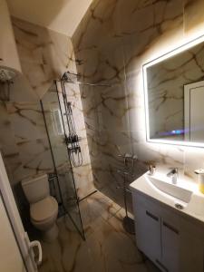 La salle de bains est pourvue de toilettes, d'un lavabo et d'un miroir. dans l'établissement Authentic Belgrade Centre Apartments, à Belgrade