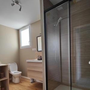 een badkamer met een douche, een toilet en een wastafel bij Appartement centre-ville proche lac, océan, vignes in Lesparre-Médoc