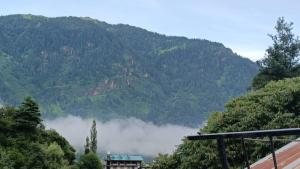 Paesaggio naturale nelle vicinanze della stanza in casa privata