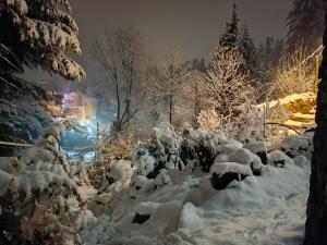 The Mystic Heaven durante l'inverno