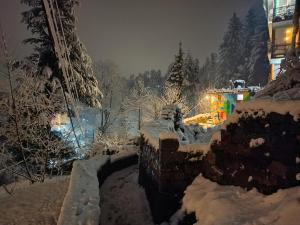 The Mystic Heaven durante l'inverno