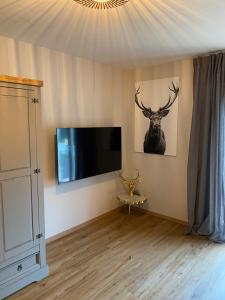 TV a/nebo společenská místnost v ubytování Ferienwohnung Rebblick