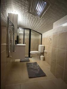 ein Bad mit einem WC und einem Waschbecken in der Unterkunft 5+2 flat with bosphorus seaview in Istanbul
