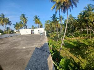a person riding a skateboard down a road with palm trees at ECO tree inn Villa in Kottakupam