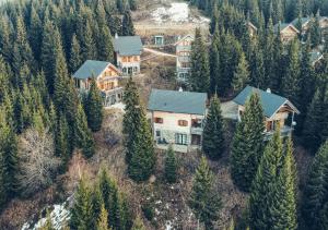 an aerial view of a house in the woods at 1A Chalet Koralpe Wandern, Grillen mit Sauna und Wellness in Hartelsberg
