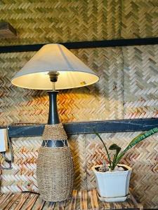 Gallery image of Con Dao Backpacker - LoCo Camping in Con Dao +28 photos