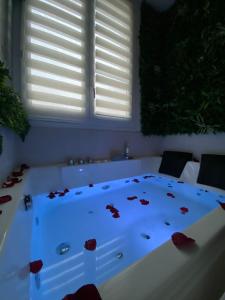 a bedroom with a large bed with roses on it at Spa jacuzzi Caen centre in Caen