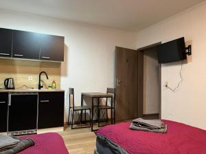 Zimmer mit einem Bett und einer Küche mit einer Theke in der Unterkunft HausOase Zimmervermietung in Schwäbisch Hall