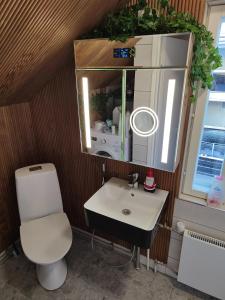 a bathroom with a toilet and a sink and a mirror at 4B Stay - Best Budget Boutique Boardinghouse in Helsinki