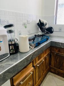 a kitchen counter with a stove and a blender at Moraa’s Home in Mombasa