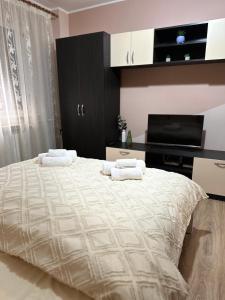 Cette chambre comprend un lit avec deux oreillers et une télévision. dans l'établissement Cozy Apartament, à Galaţi